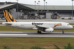 tiger-airways.jpg